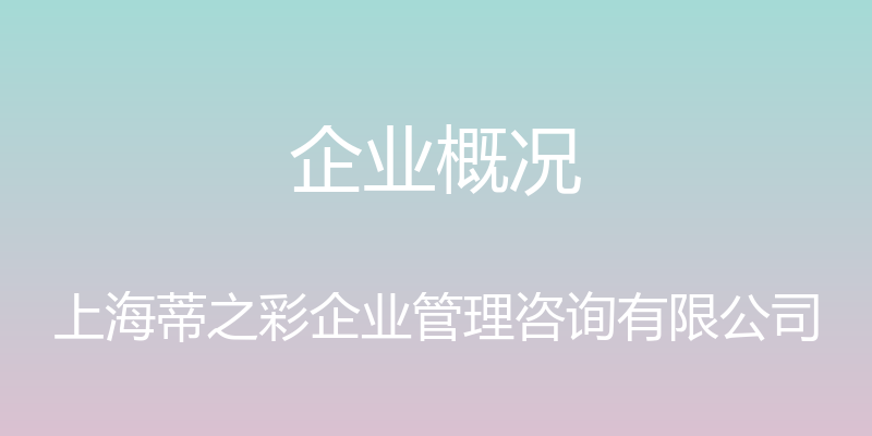 企业概况 - 上海蒂之彩企业管理咨询有限公司